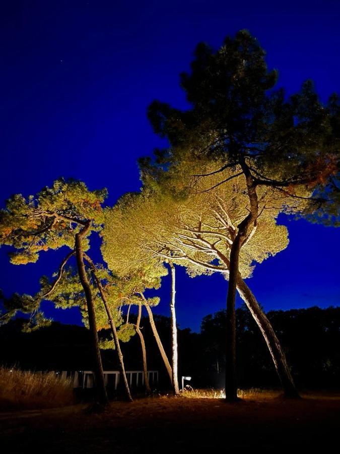 Les Salines Boyardville - Appart'Hotel سان بيار دو أوليرون المظهر الخارجي الصورة