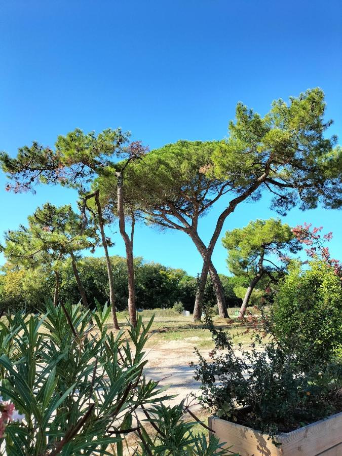 Les Salines Boyardville - Appart'Hotel سان بيار دو أوليرون المظهر الخارجي الصورة